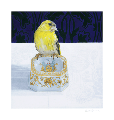 Siskin // Camilla Clutterbuck