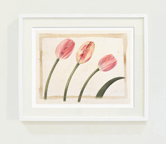 Three Tulips // Gertrude Hamilton