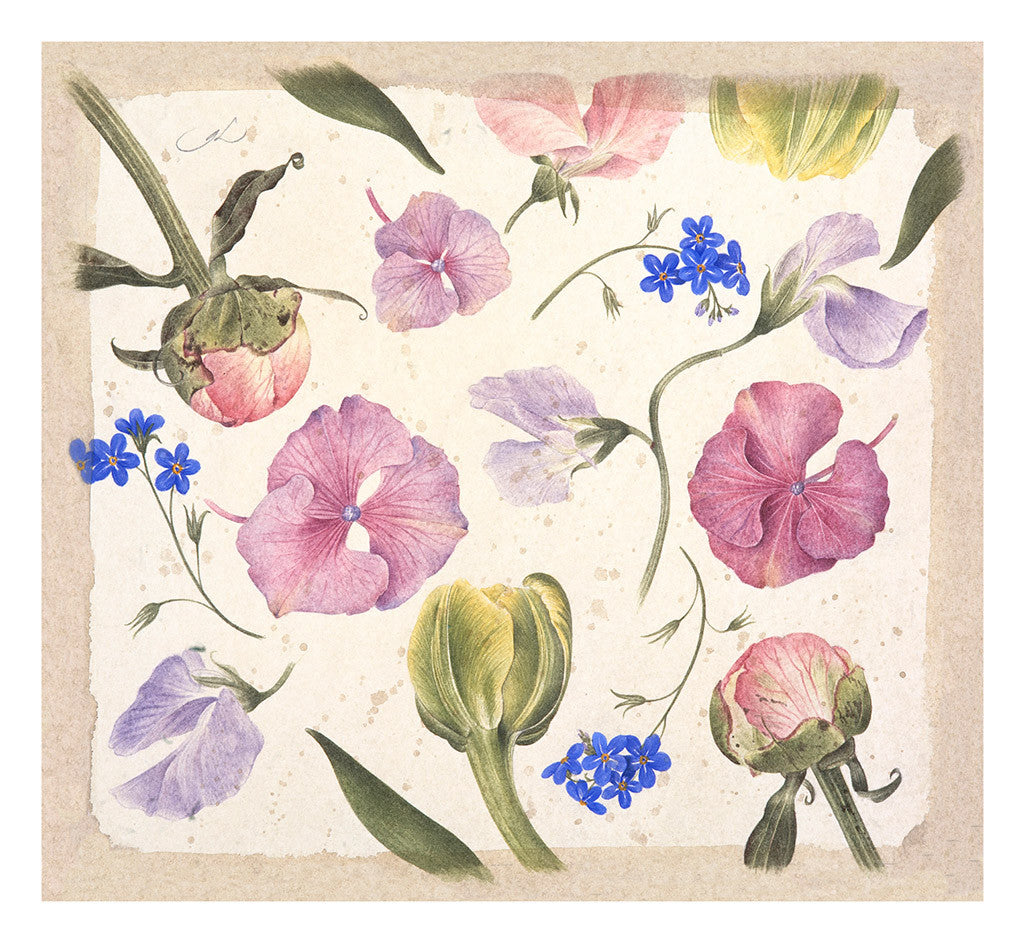 Spring // Gertrude Hamilton