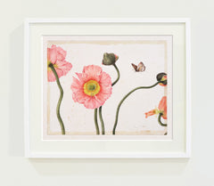 Three Pink Poppies // Gertrude Hamilton