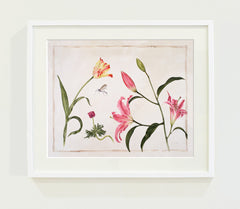 Three Pink Lilies // Gertrude Hamilton