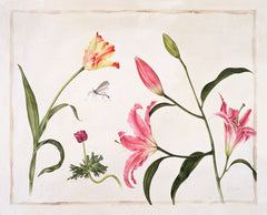 Three Pink Lilies // Gertrude Hamilton