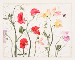 Sweet Peas // Gertrude Hamilton