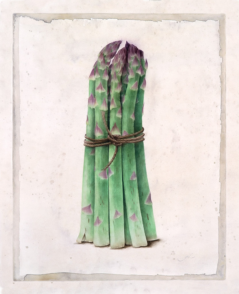 Asparagus // Gertrude Hamilton