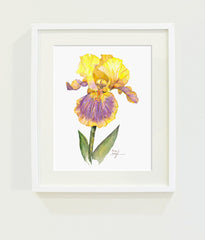 Supreme Sultan Iris // Page Lee Hufty