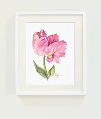 Pink Parrot Tulip // Page Lee Hufty