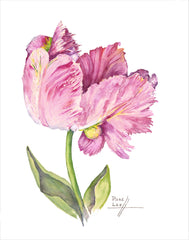 Pink Parrot Tulip // Page Lee Hufty