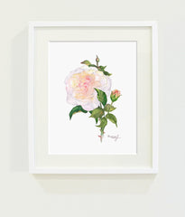 White Rose  // Page Lee Hufty