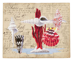 Harrison Howard Spindle Shell with Red Coral