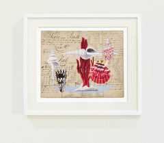 Harrison Howard Spindle Shell with Red Coral