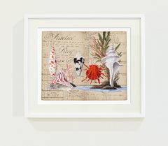 Harrison Howard Red Thorny Oyster