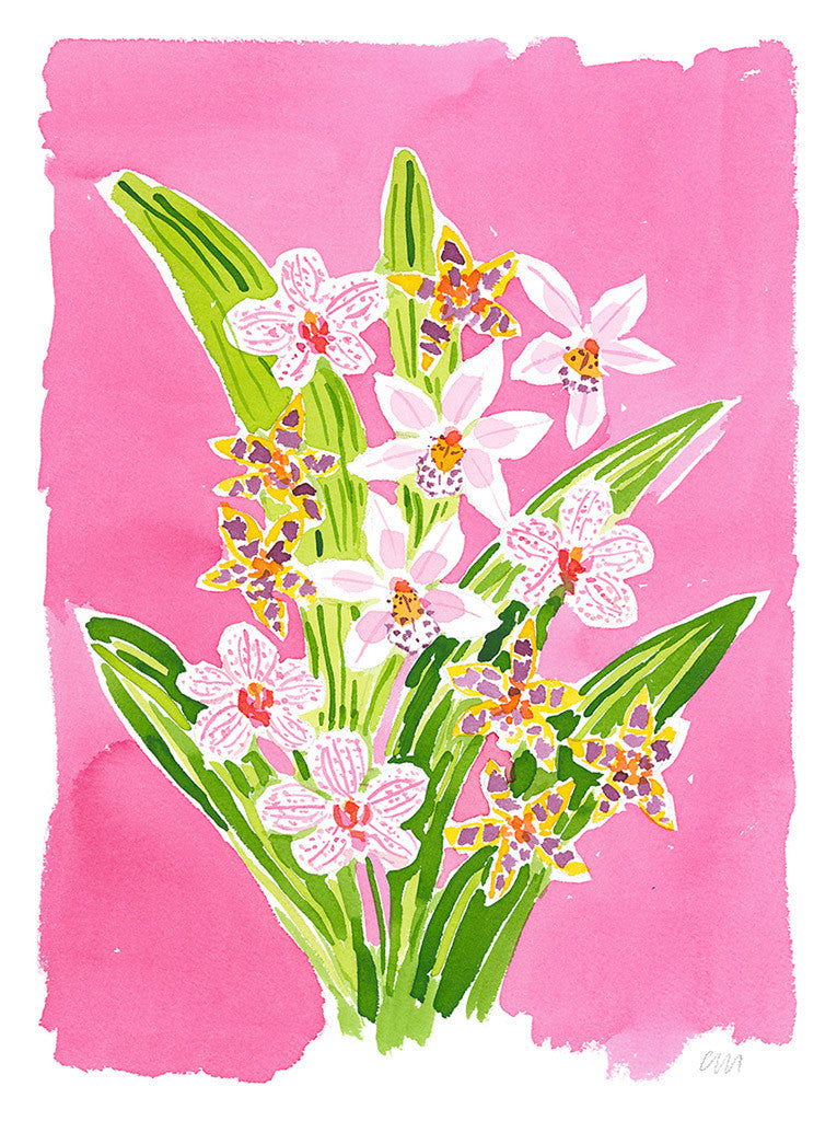 Orchid Pink - Caitlin McGauley