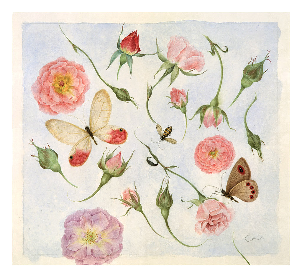 Blossoms and Butterflies // Gertrude Hamilton