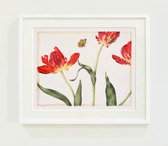 Three Red Tulips // Gertrude Hamilton