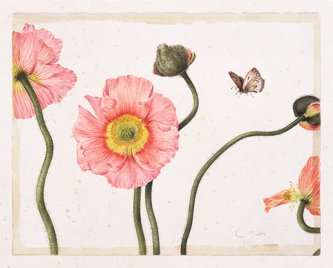 Three Pink Poppies // Gertrude Hamilton