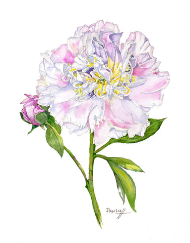 Top Brass Peony // Page Lee Hufty